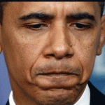 2010 Election Reflection